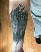小臂黑灰森林系狼纹身图案