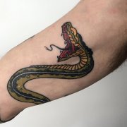 大臂彩色蛇纹身图案